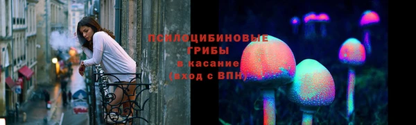 шишки Абдулино