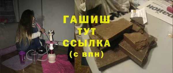 гашик Алексин