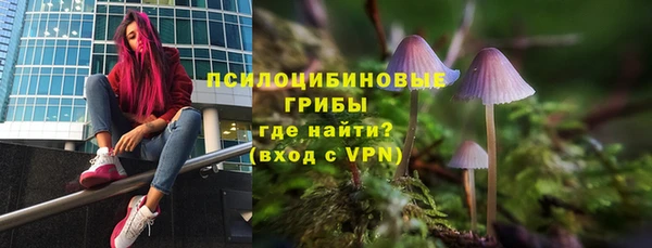 шишки Абдулино